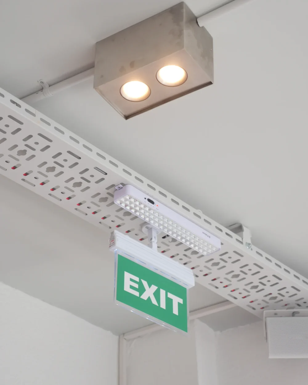 illuminated-exit-sign-in-modern-interior-space-2026-09-24-15-50-19-utc